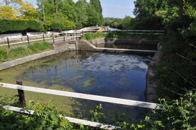 Side ponds at lock 97 Lock 97 ponds